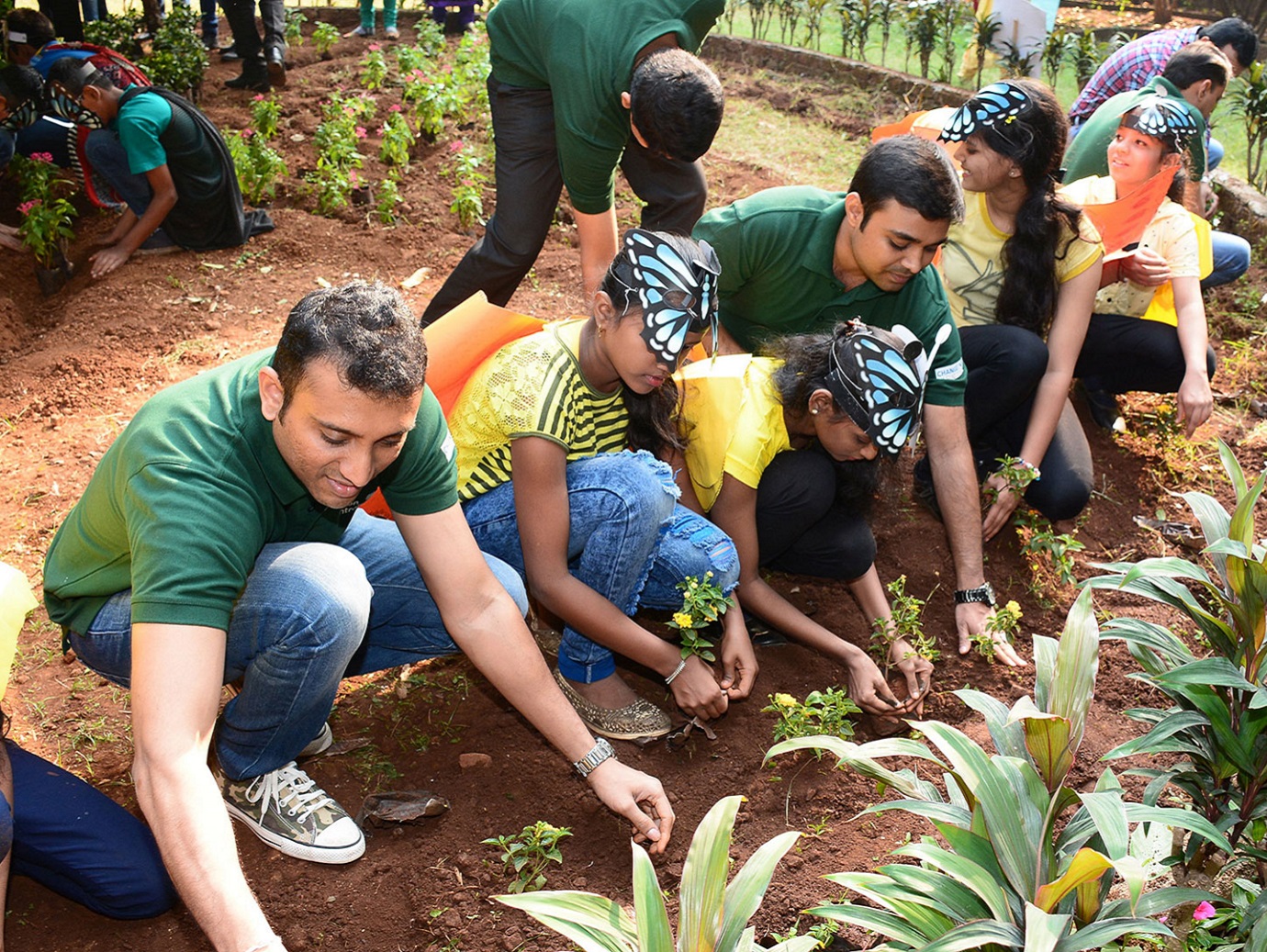 Group of people planting sapling in a park