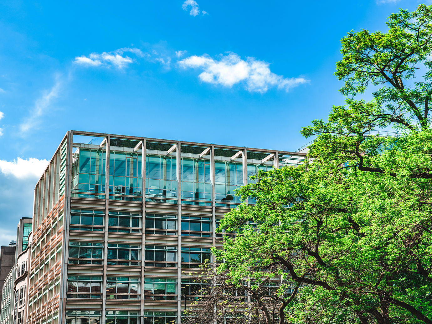 A view of a building behind a tree