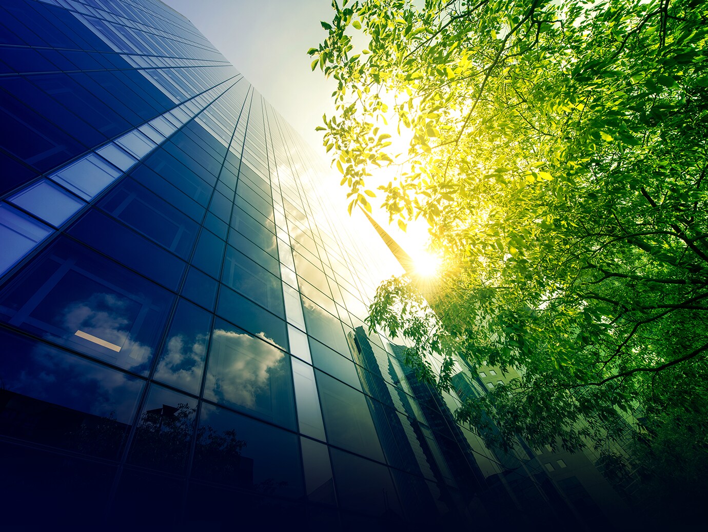 Frog's eye view of a modern skyscraper and a tree