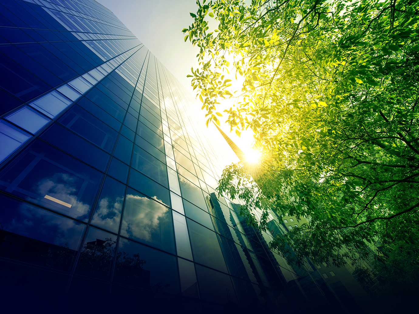 Frog's eye view of a modern skyscraper and a tree